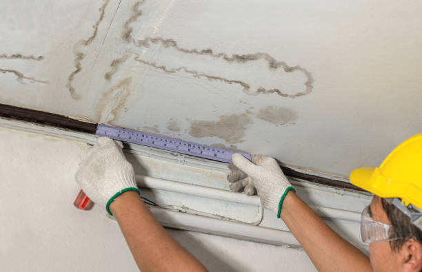 Reliable Mold Remediation contractor in Edmond, WV by Water Damage Irwin